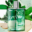 Comprar Hermès H24 Herbes Vives