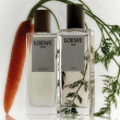 Comprar Loewe Loewe 001 Man