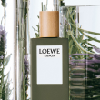 Comprar Loewe Loewe ESENCIA