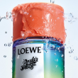 Comprar Loewe PAULA'S IBIZA ECLETIC