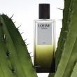 Comprar Loewe Esencia Elixir 