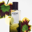 Comprar Loewe Esencia Elixir 