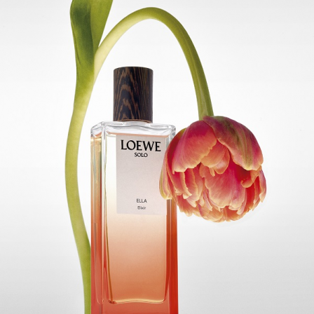 Comprar Loewe Elixir