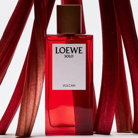 Comprar Loewe Solo VULCAN