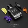 Comprar Giorgio Armani Acqua Di Giò